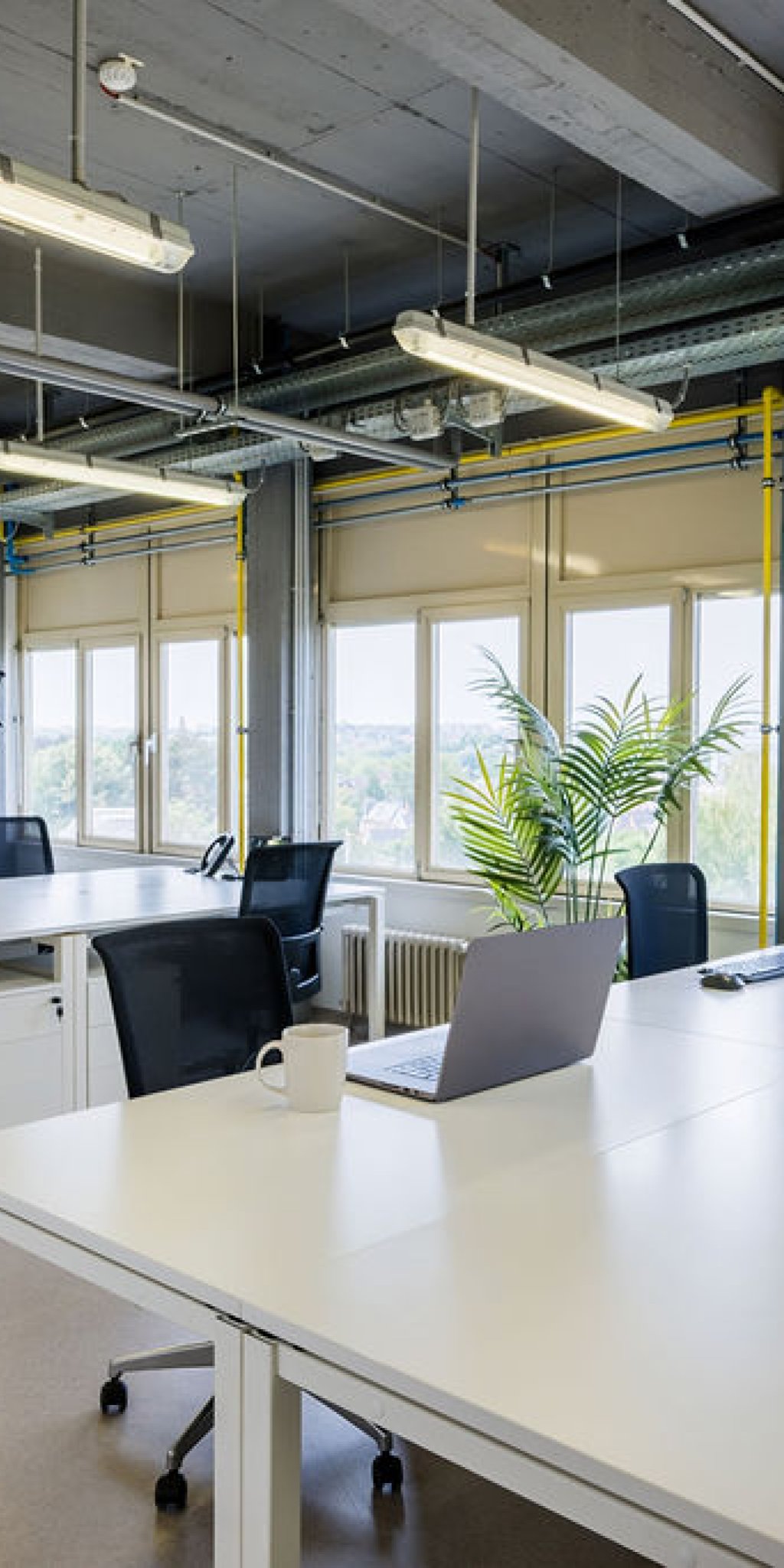 Bureau privatif de 56 m&sup2; au BLSI &agrave; Bruxelles, am&eacute;nag&eacute; avec huit postes de travail